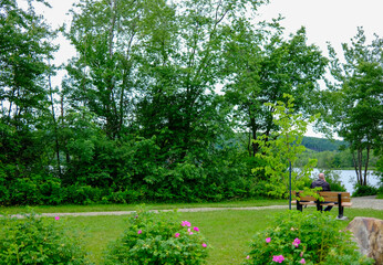 Vue du lac et du parc avec banc et arbres. Un homme seul sur un banc.