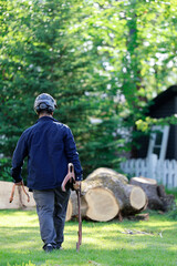 Un homme coupe des branches d'arbre. Un arboriste au travail. &Eacute;mondeur.