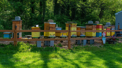 Apiary