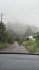 Motorcycle with people on a misty road, surrounded by lush nature.