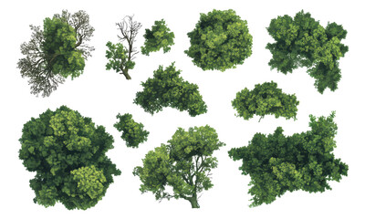 Top-down aerial view of green tree canopy clusters for landscape design
