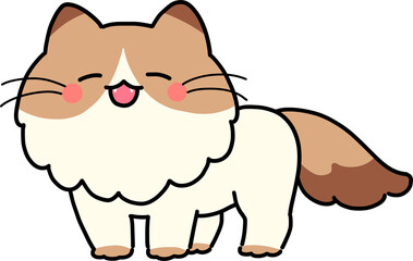 Standing Ragdoll Cat
