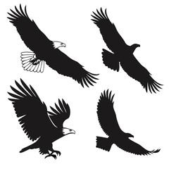 Obraz premium Four black eagle silhouettes in flight bird flying