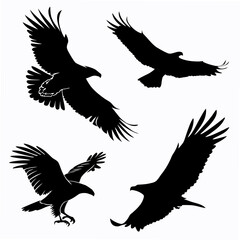 Four black eagles in flight bird birds