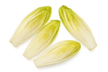 Four fresh belgian endive leaves, offering a healthy and delicious addition to any meal, are isolated on a transparent background