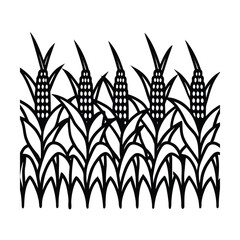 Handdrawn corn stalks with leaves ears on a maize