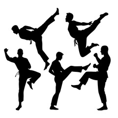 Martial arts fighters performing dynamic kicks and stances