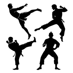 Martial arts fighters performing kicks karate fighting