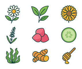 Botanical Skincare Icons. Flat icon set of botanical skincare ingredients: chamomile flower, green tea leaf,