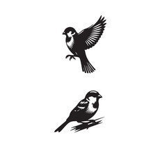 sparrow set silhouette tattoo,sparrow silhouette flying ,sparrow silhouette pictures ,jack sparrow set silhouette