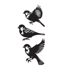 sparrow set silhouette tattoo,sparrow silhouette flying ,sparrow silhouette pictures ,jack sparrow set silhouette