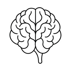 Handdrawn Outline Brain on Showing Cerebral Hemispheres Stem cerebrum human