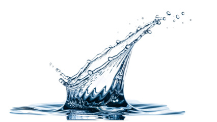 Dynamic water splash with droplets isolated on white background, clear fluid motion.
