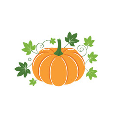 Orange pumpkin with green leaves and vines vector