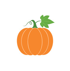 Orange pumpkin with green stem and leaf vector