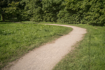 Winding path through lush green meadow in summer park