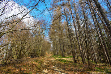 Hiking trail to Mount Giarolo, Alessandria, Piedmont, Italy
