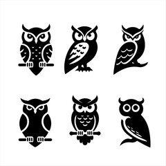 Vector illustration of an owl with detailed feathers on white background