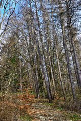 Hiking trail to Mount Giarolo, Alessandria, Piedmont, Italy