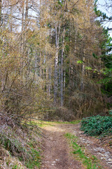 Hiking trail to Mount Giarolo, Alessandria, Piedmont, Italy
