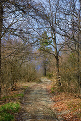Naklejka premium Hiking trail to Mount Giarolo, Alessandria, Piedmont, Italy