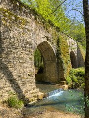 Fototapeta premium Ancient Stone Aqueduct in Lush Green Forest