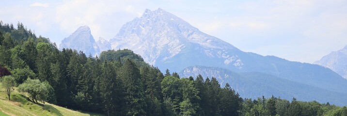 Mountain panorama with Goats