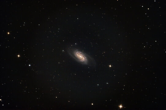 A view of NGC 2903 a barred spiral galaxy