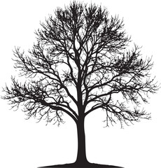 Obraz premium Leafless Winter Tree Silhouette Vector – Black Seasonal Forest Scene Graphic