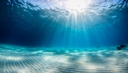 Fototapeta premium turquoise underwater scene with sunlight rays illuminating white sand seabed
