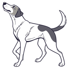 Fototapeta premium pet dog friendly mammal animal full body