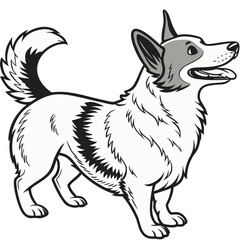 Fototapeta premium pet dog friendly mammal animal full body