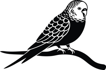 budgie sitting on brunch silhouette vector