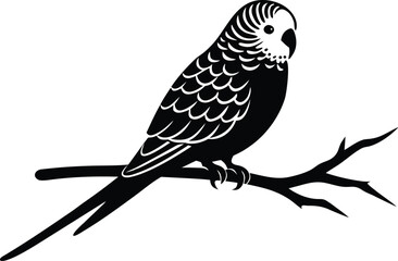 budgie sitting on brunch silhouette vector