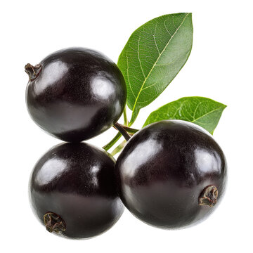 Ripe jaboticaba elegance isolated on transparent background