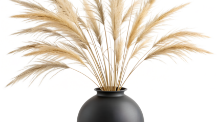 A tall bunch of dried pampas grass in a black vase, isolated on a transparent background