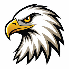 Fototapeta premium bald eagle vector illustration