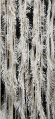 background of white fluffy ropes
