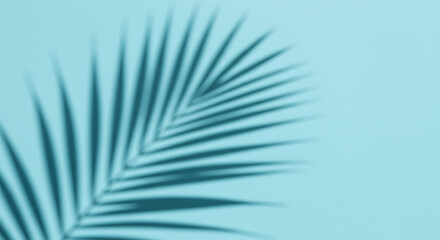 Soft shadow of a palm leaf on a pale blue background.
