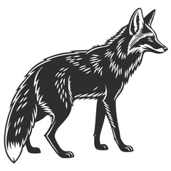 Obraz premium Isolated Black Silhouette of a Fox on White Background