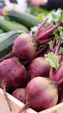 extreme close-up macro video of fresh, deep purple beets with green leaves and dewdrops in a rustic wooden crate. Blurred organic vegetables, bokeh, diffused natural light, slow dolly-in, serene