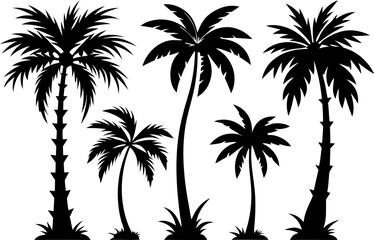 6 Tropical Palm Tree Silhouettes Vector Set