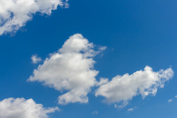 Obraz premium Bright clouds drift across a clear blue sky during midday