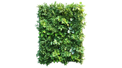 Obraz premium • A futuristic vertical garden system with smart plant care, isolated on white background in HD 
