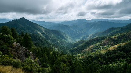 Lush Green Mountain Valley