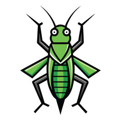 green grasshopper isolated on white background