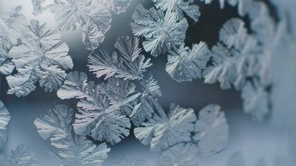 Close-up macro of ice crystals slowly forming on a glass surface. The frost spreads organically in branching patterns, capturing fine, shimmering textures under cool-toned lighting.
- Powered by Adobe