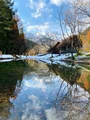 reflection of trees in the lake