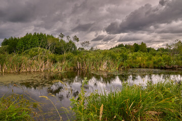 Starorzecze i dolina rzeki Noteć w deszczowych chmurach, Polska, Europa