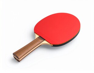 Single Paddle – Angled Display